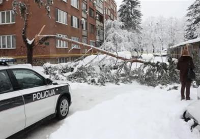 Дрво под тежина на снегот падна во Сараево и уби мајка на две деца