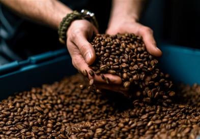 Германија ги надмина САД, Бразил бележи рекордна заработувачка- пресврт на пазарот на кафе 