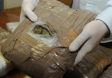 МВР пресече транспорт на марихуана