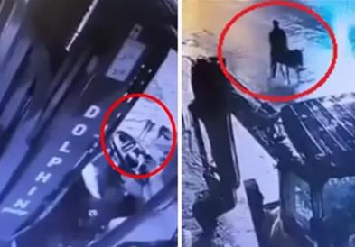 Турчин со виљушкар упаднал во златарница, ја ограбил и избегал- на магаре (ВИДЕО)