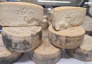 Росоман организира бесплатен превоз за земјоделци на саем во Солун