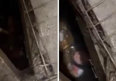 Девојка преживеала хорор- 48 часа била заробена во септичка јама на јавен тоалет (ВИДЕО)