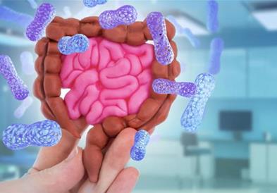 Говорот на влошената состојба на цревата: Сигнали кои порачуваат дека здравјето им е нарушено