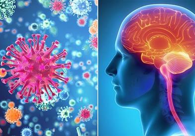 Епидемија на менингитис во Велика Британија, две лица починаа