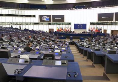 Вајц преку амандман бара Советот на ЕУ да разјасни дали протоколот потпишан со Бугарија е услов за Македонија
