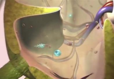 Светски ден за борба против туберкулоза – дијагнозата останува клучен фактор