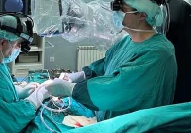 Ватикан не забранува на католиците да им се трансплантираат животински органи