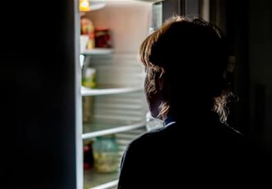 Поставила камера за да види кој краде од фрижидерот- се шокирала кога ги видела крадците (ВИДЕО)