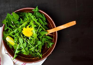 Берете глуварче, нема да се покаете: Чудесна салата која го чисти телото и го зајакнува имунитетот