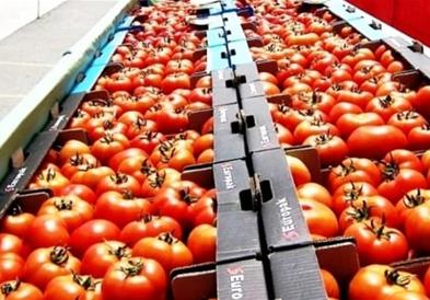 Првите романски домати за сезоната достигнаа рекордни цени од околу 20 евра за килограм