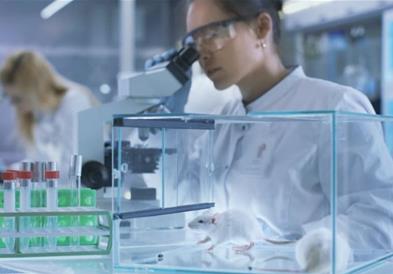 Драма во Бразил: Угледна научничка украла многу опасни вируси, колегите потресени 