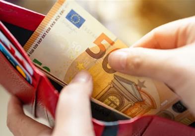 Босанец го измамил системот во Австрија- 20 години ја примал пензијата на починатата сопруга 
