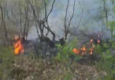 Пожар кај Глажња во Липково, екипите и денеска на терен