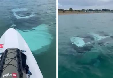 Уживала на море, кога здогледала чудо од 90.000 евра (ВИДЕО)