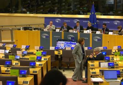 И покрај 400 амандмани, предлог- извештајот на Вајц за Македонија помина во комисијата на ЕП 