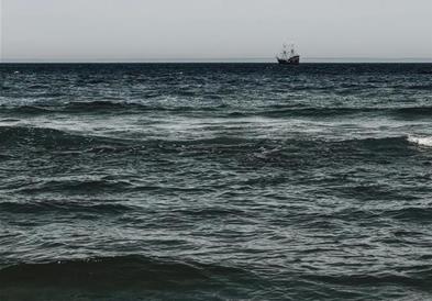 Фото: Што исфрли Црното море, страшната глетка видена во Одеса и во Бугарија и Романија 