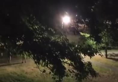 Расчистен случајот со оштетување канделабра во парк на подрачје на општина Карпош