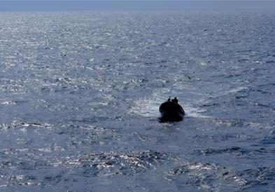 Дрон погоди брод во Црното Море- загина еден член на екипажот