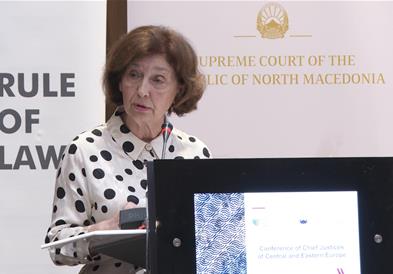 Можеби е потребно да постои механизам на притисок ако не се спроведуваат пресудите во Стразбур, изјави Сиљановска – Давкова