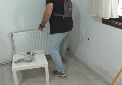 Македонија нема надлежна служба која може да интервенира за случаи со змии