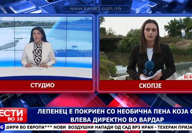 Лепенец прекириен со чудна пена, што се влева во Вардар- се бара виновникот 
