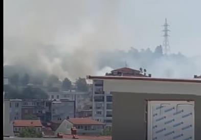 Голем пожар во парк шумата Гази Баба (ВИДЕО)