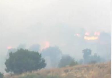 Тројца пожарникари загинаа во пожарите кои беснеат во Грција, најкритично на Крит и Пелопонез, евакуирани туристи