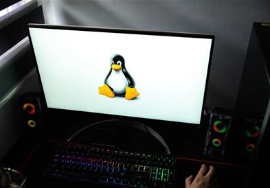 „ChatGPT“ конечно доаѓа на „Linux“