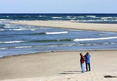 Водата во Северното море со рекордно висока температура од 21,5 степени