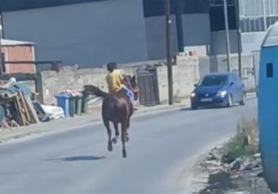 Скопје или див запад? (ВИДЕО)