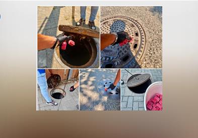Глодари ги вознемирија жителите кај ТЦ „Буњаковец“ и ООУ „Песталоци“