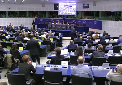 Документот за проширување на Унијата презентиран пред АФЕТ 
