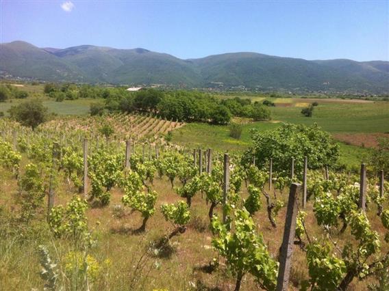 Следува период на топло време, температури до 20 степени