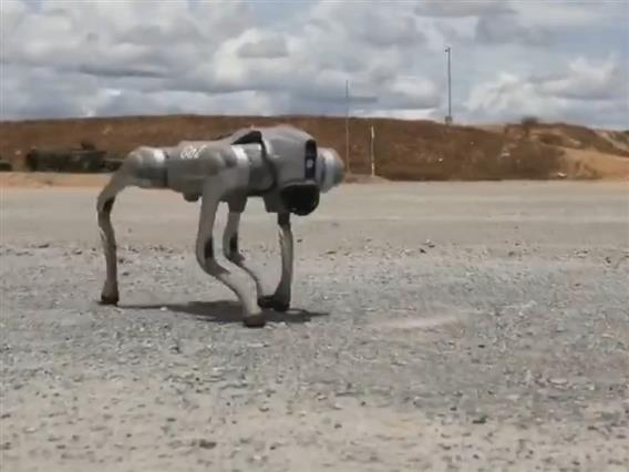 Видео: Кина ги обучува своите вооружени „кучиња-роботи“