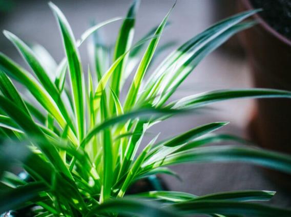 Стабилно и потопло време во наредните денови