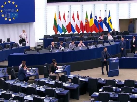 Дебата за извештајот за Македонија, Словенечка европратеничка до бугарските колеги им се обрати на македонски
