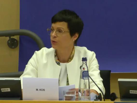 Марта Кос: Трагедијата во Нови Сад ја менува Србија