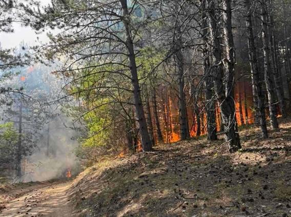 Три активни пожари - во Јасен, Студеничани и Липково