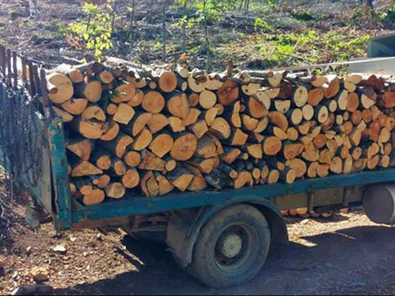 Уапсени двајца дрвокрадци од Куманово- сакале да ги прегазат полицајците, се слушнале истрели 