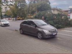 Видео: Невреме во Скопје, дрво падна во Капиштец