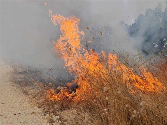 ЦУК: Побарано воздушно дејствување врз пожарот во Липковско на страната од Скопска Црна Гора