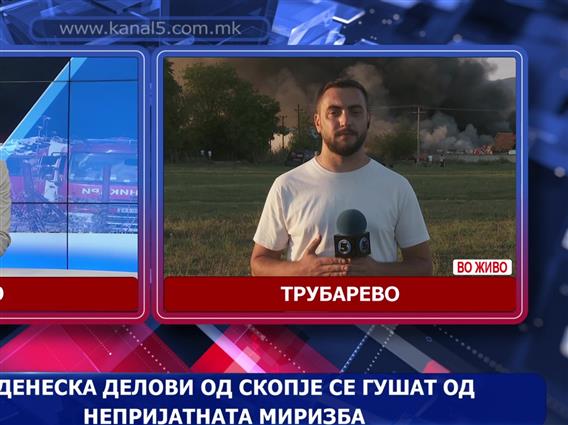 Нов голем пожар изби на отпад кај Трубарево, облак од црн чад се издигна над Скопје 