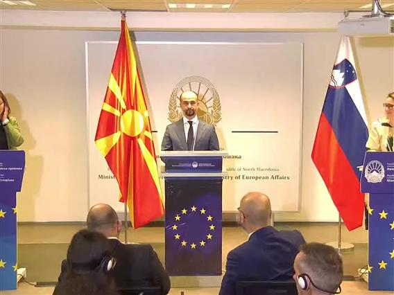 Австрија и Словенија поддржуваат квалификувано мнозинство за технички прашања во преговорите
