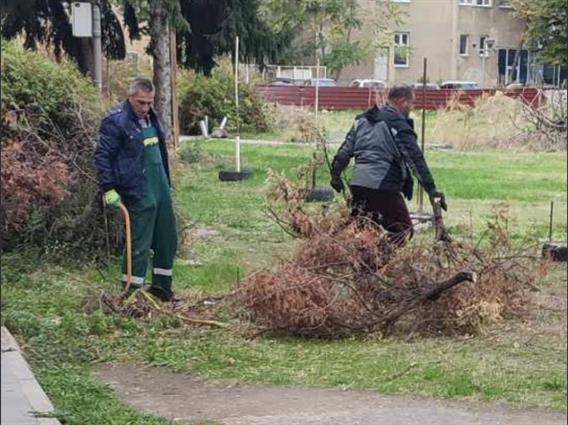 По коментарот на Видиновски денеска се уредува зеленилото пред Парламентот