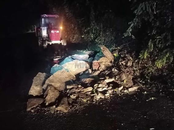 Одрон на карпа на регионален пат кон Градско, нема повредени