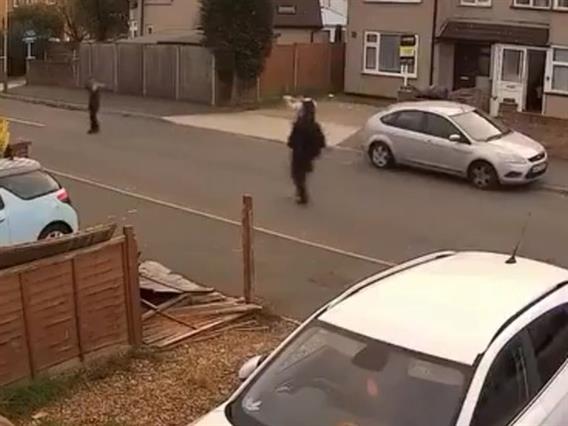 Авганистанец уби Британец во Лондон, додека си го шетал кучето (ВИДЕО)