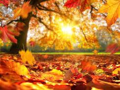 Претпладне магливо, попладне сончево време