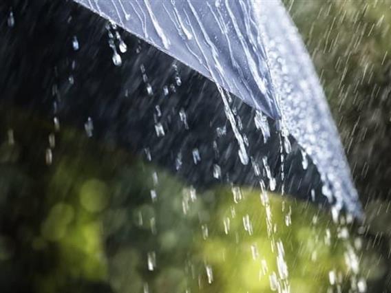 Најмногу дожд наврнал во Маврово и Гевгелија