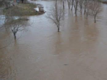 АХВ со препораки за безбедносот на храната, водата за пиење и за заштита на животните во регионите каде има поплавувања