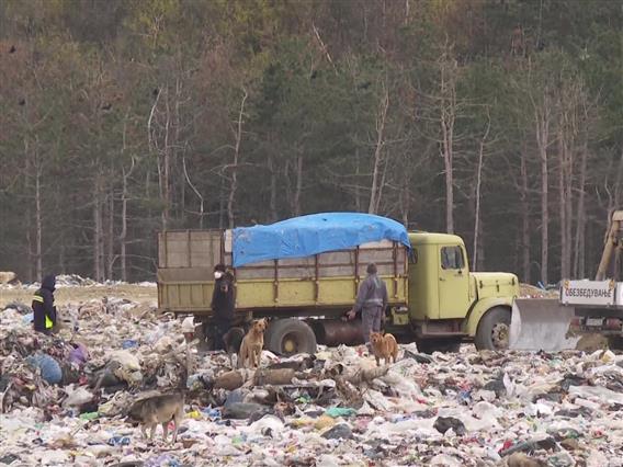 АХВ спречи увоз на над 20 тони небезбеден помфрит, увезен од Холандија